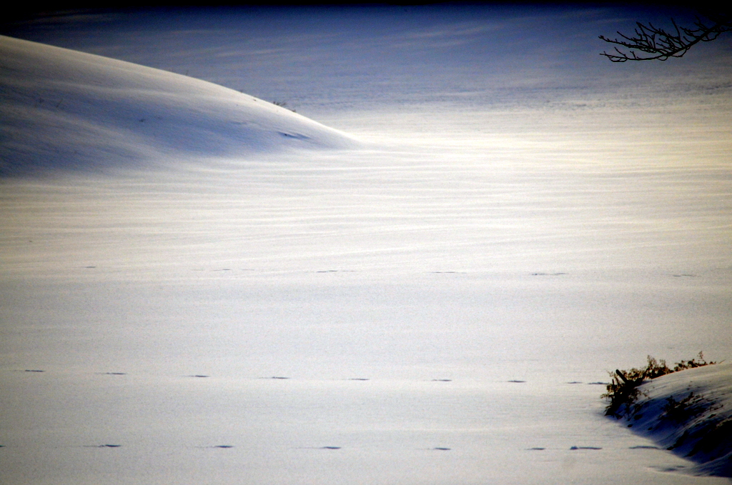 Bayles Lake at winter