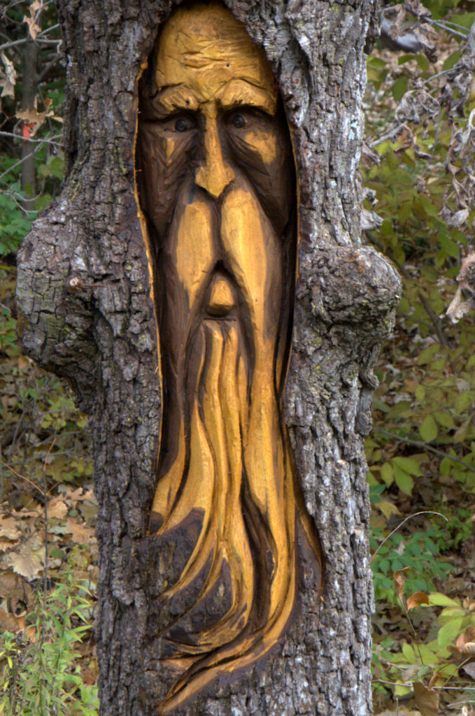 Tree carvings