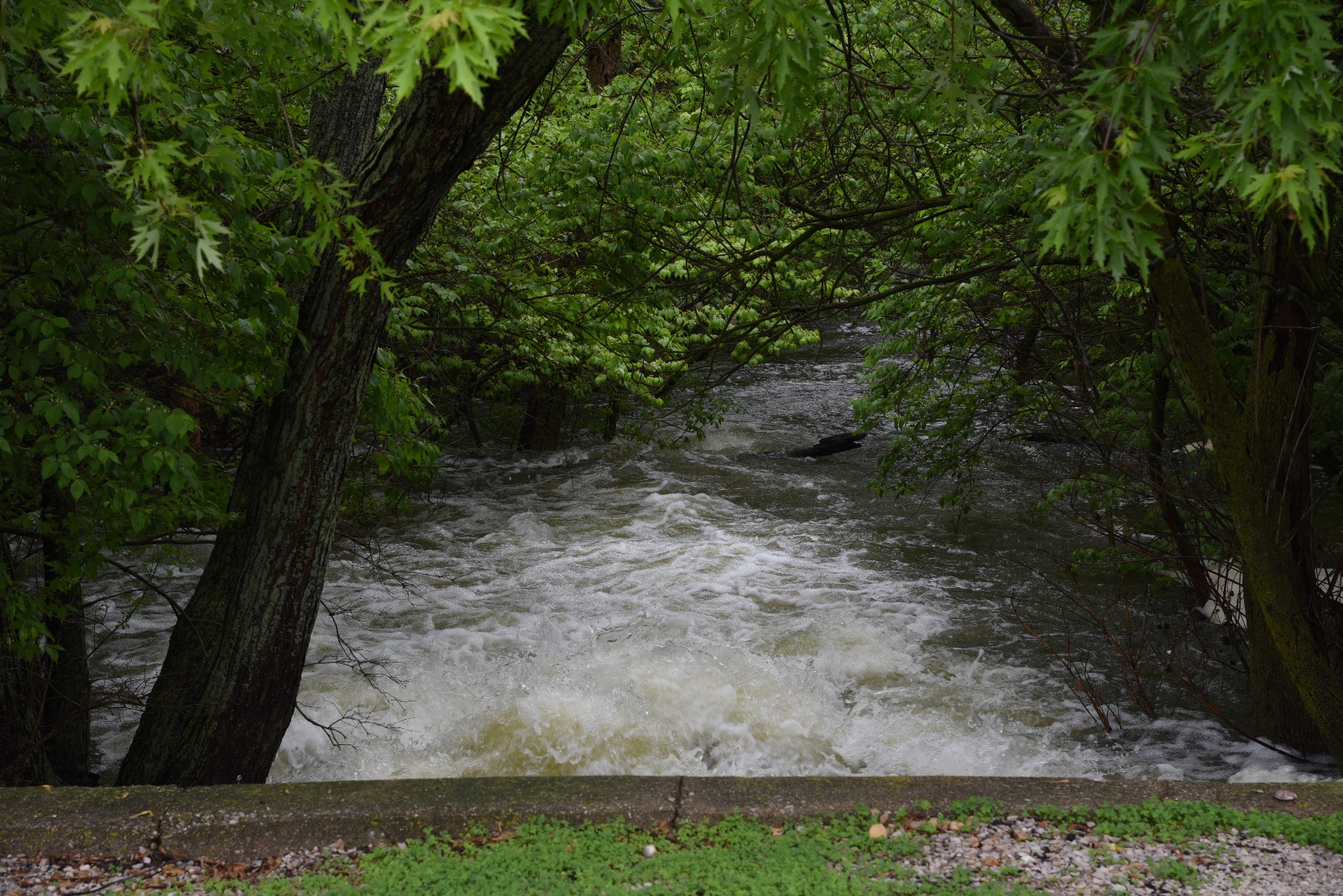 High Water at the spillway