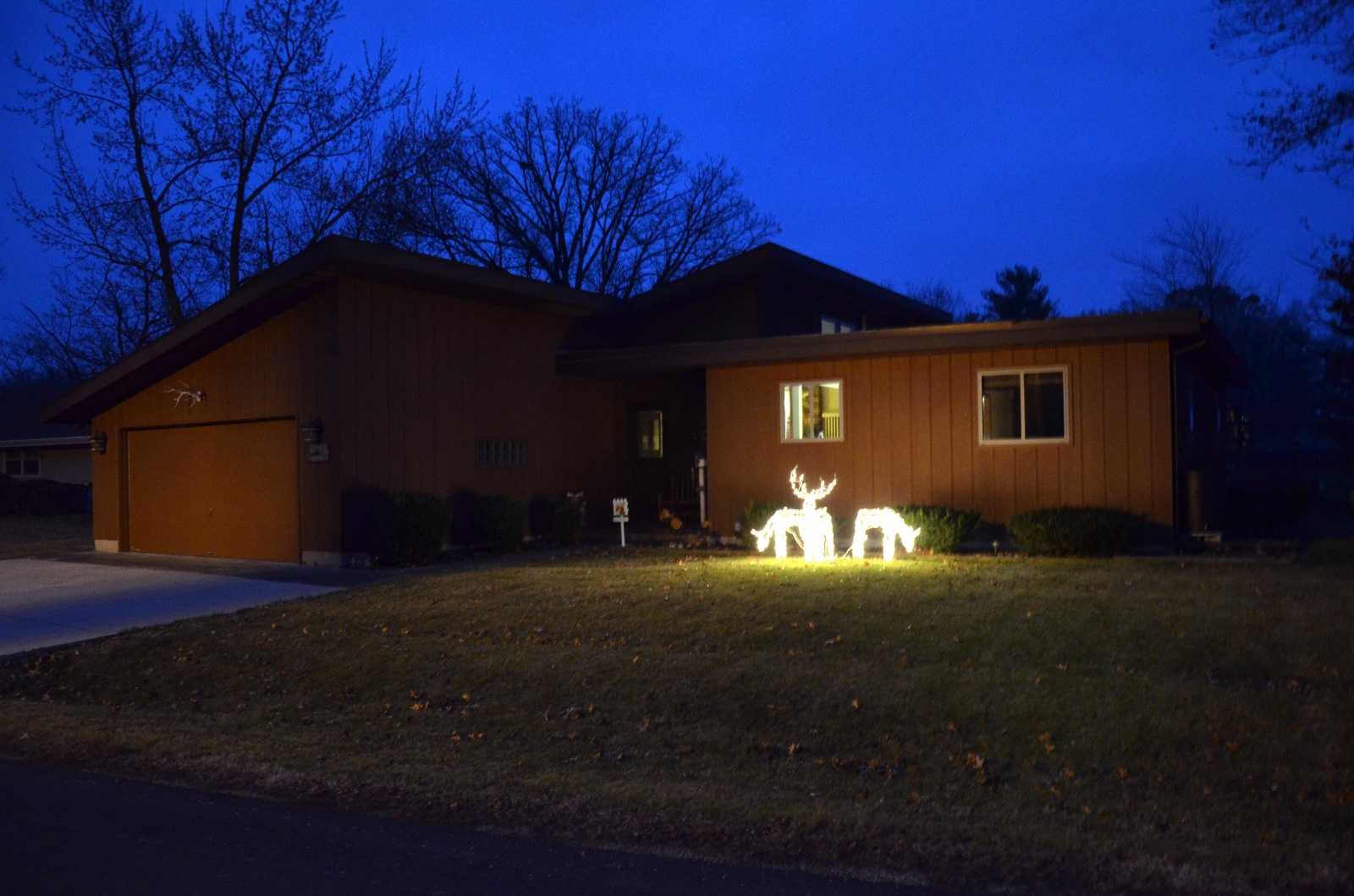 Christmas at the lake