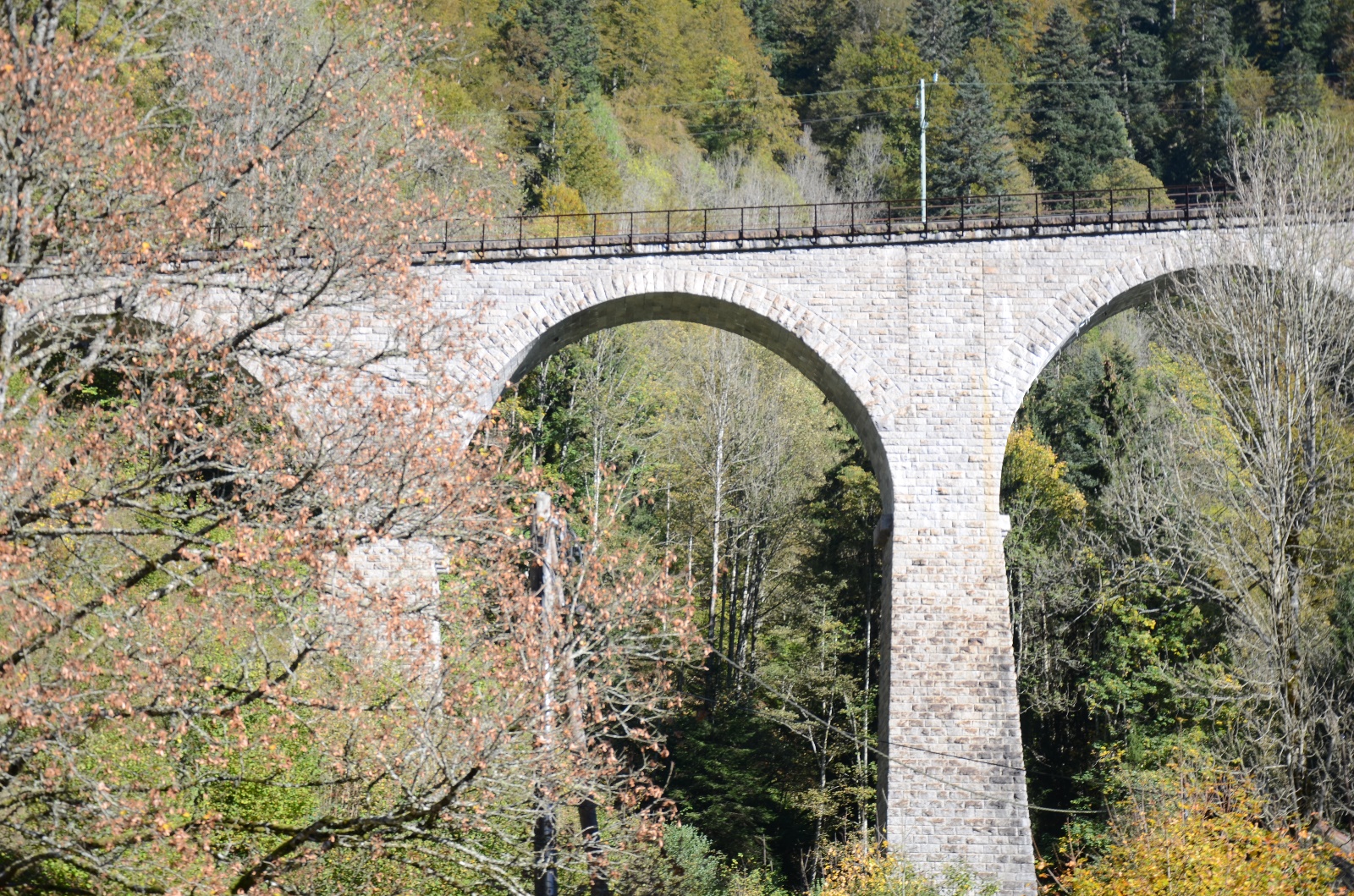 Breisach & Black Forest Germany