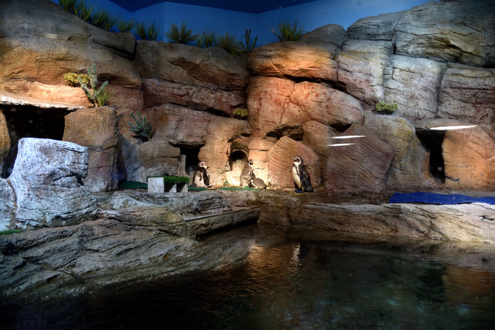 Mote Science Education Aquarium