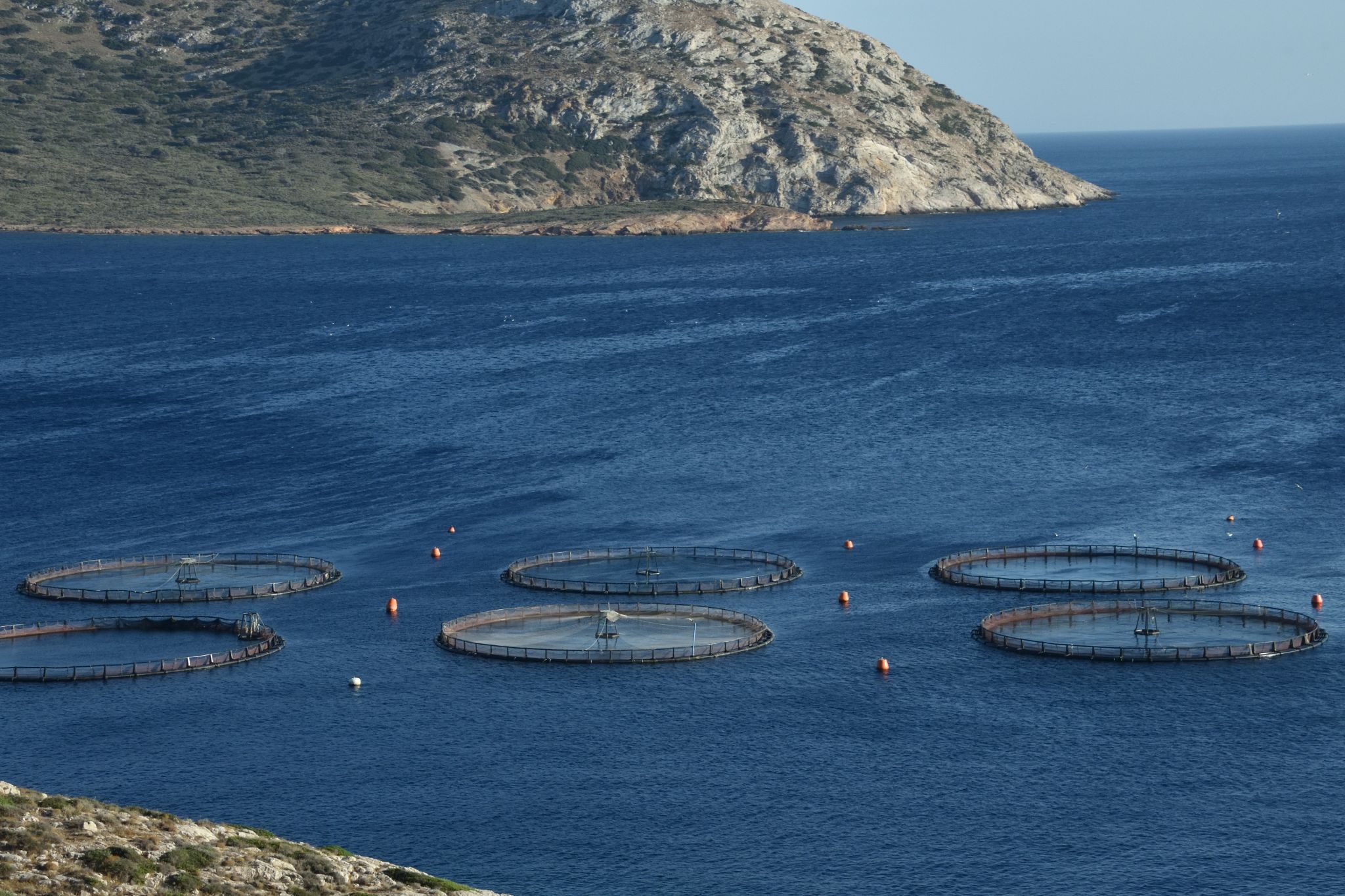 On the way to the Sanctuary of Poseidon