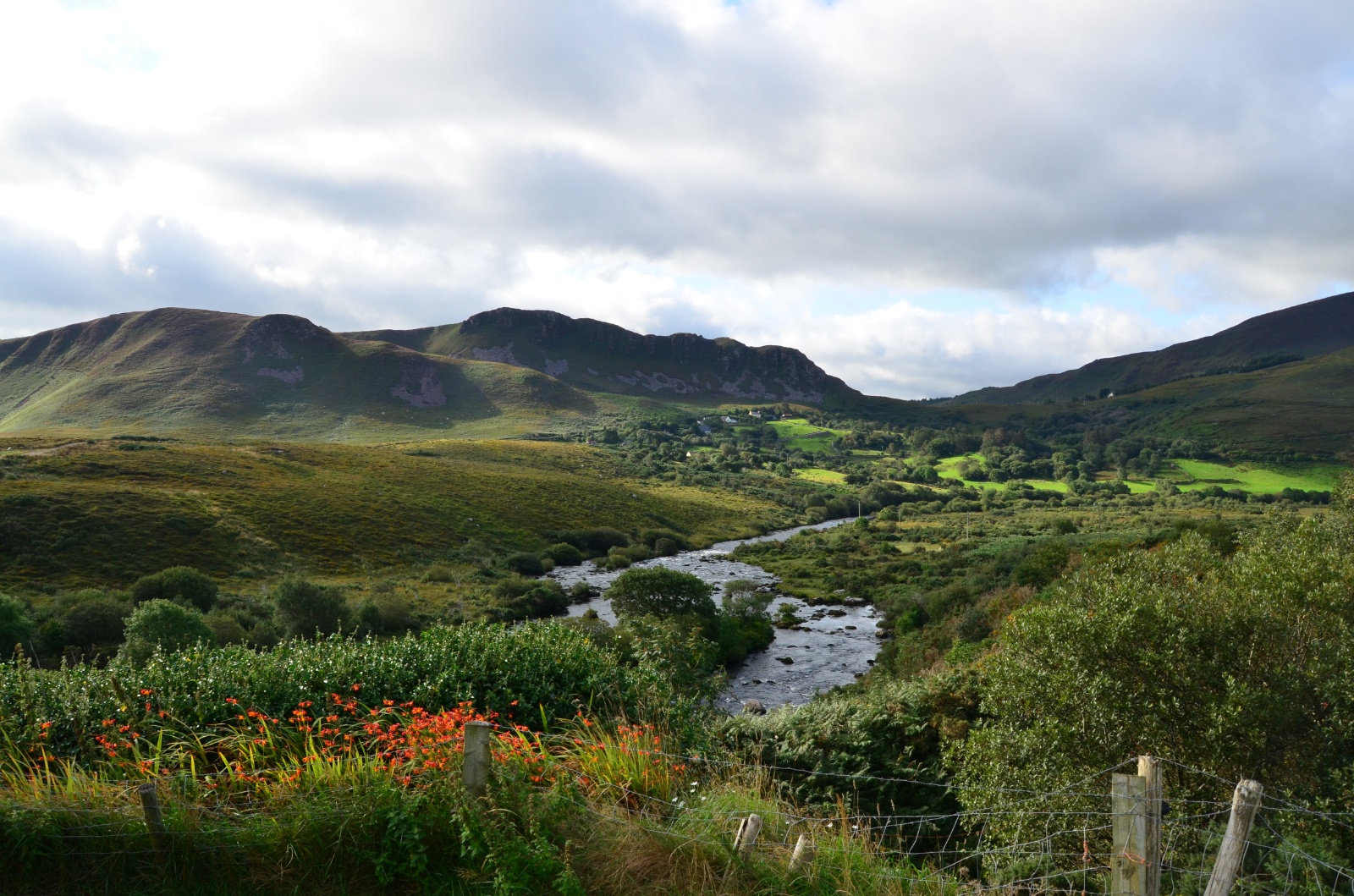 Killarney Countryside