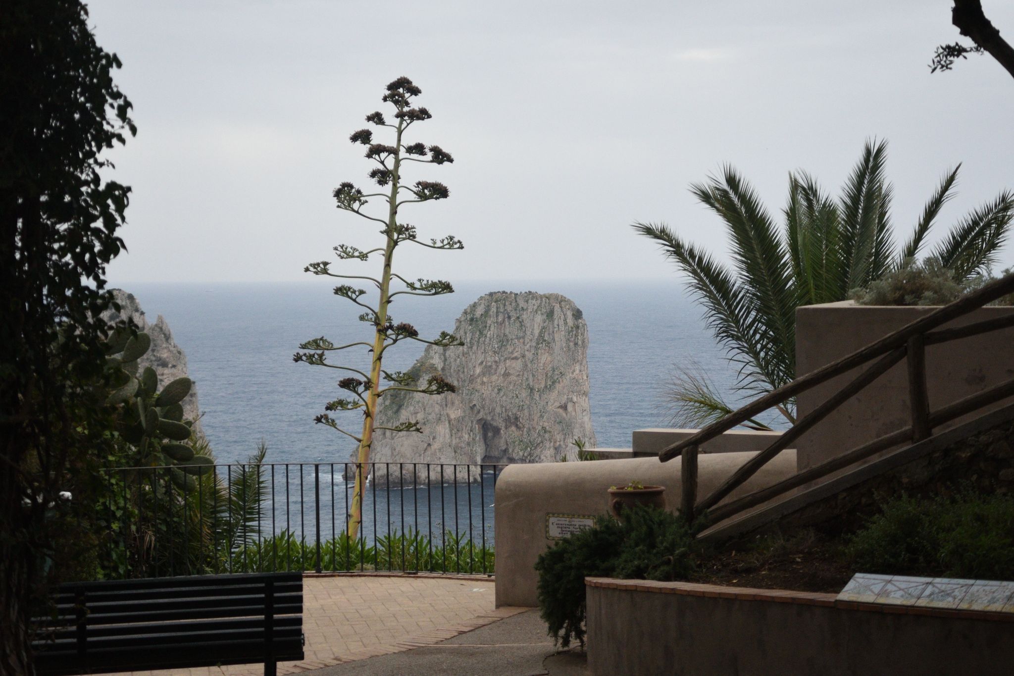 Sorrento Excursion to Capri - Day 11