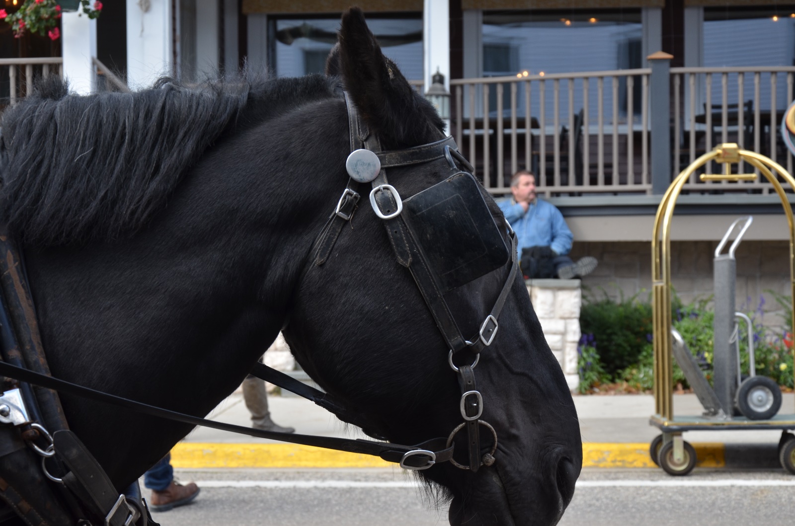 Mackinaw Island 2015